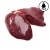 000011_chickenliver_400gm-