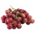 000051red_glode_737297981