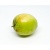 000084_buah_bidara_jujube_1018303569