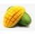 000089_mango_falan_2065424597