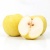 000109_goldenpear_376185449