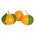 000117_mandarin_oranges_citrus_reticulata_1875513502