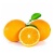 000119_orange_valencia_61050778