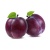 000126_plum_341232919