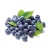 000156_blueberry_354145484