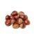 000157_chestnut_china