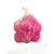 000161_fuji_apple_s_374153392