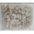 001670_-_iqf_prawn_meat