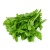 1596537278583-sayur_raja_hijau_1777040023