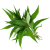 1597315095649-daun-kesumedited_jpeg_1226153947