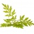 360_f_245346497_eoyncb1itzqiuy8y6xr0saxycevbdu5i_937129457