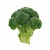51ykqqikl__ac_ss450__334604941