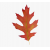 83-838185_maple-clipart-acorn-leaf-red-oak-leaf-clipart_1427649519
