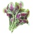 amaranth-seeds-benih-bayam-s133-1_387456723
