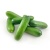 baby-cucumber-cameron-800x800_457452533