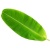 banana-leaf-500x500_1644673794