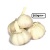 bawang_putih_500g-