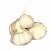 bawang_putih_kg