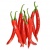 cili-merah-e1594787996933_1496916666