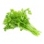 coriander_1055310968-600x600_922299551