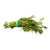 daun_selom_300gm