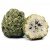fruta-do-conde-novo1-c071ef09539c11c90f15899937516629-1024-1024