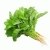 green-spinach_grande_943115601