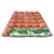 henritex_egg_gred_b_-_tray