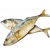 ikan_kembong_80gm
