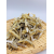 isi_ikan_malong_70g