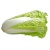 kobis-panjang-cabbage-chinesejpg_8_441702490
