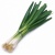manfaat-daun-bawang-03_12_903060