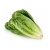 qtf_lettuce_romaine_image_2