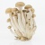 shimeji-mushroom-brown-beech-mushroom-isolated-white_43289-29_59205826