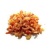 udang_kering_s_30gm