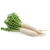 white-radish_812897399