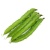 wing-bean-seeds-custom-e1526102257864