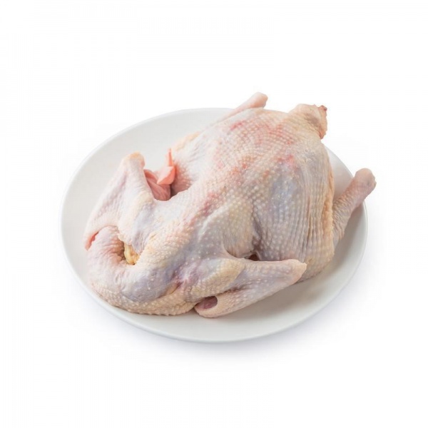 000019_chickenoldhen