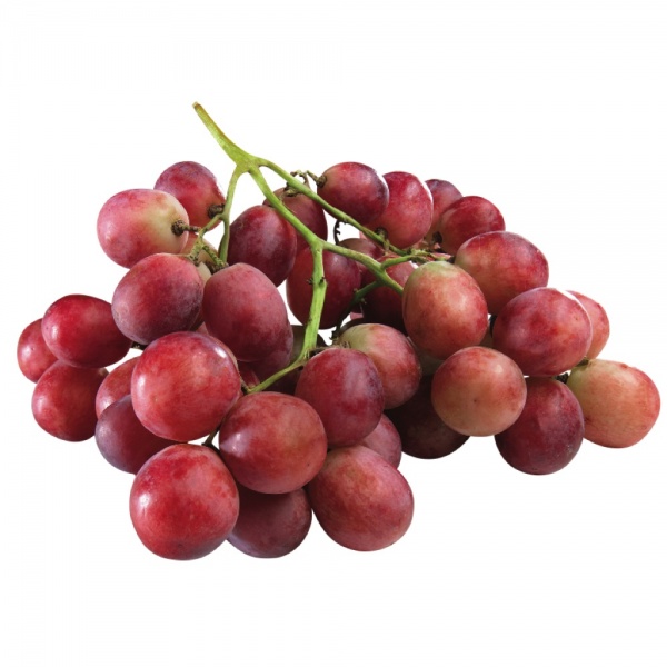 000051red_glode_737297981