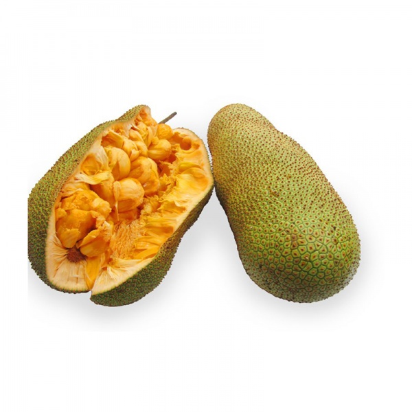 000056_cempedak