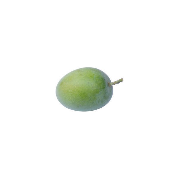 000064mango_kuinin_1832145625