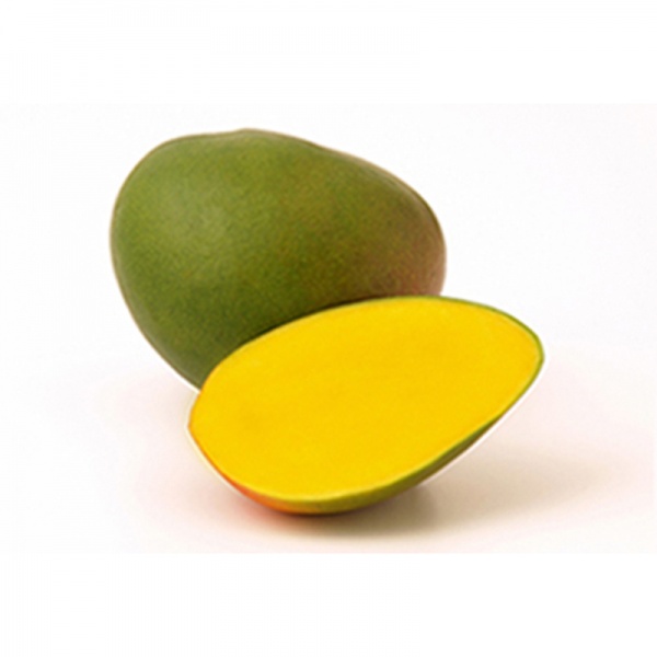 000065_mango_telur_2027025085