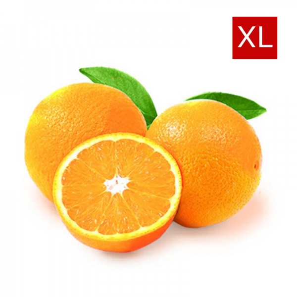 000121_orangeseedlessxl_2136479964