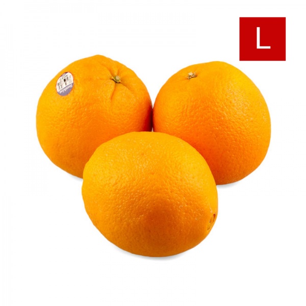 000122_orange_sunkistl_2092048007