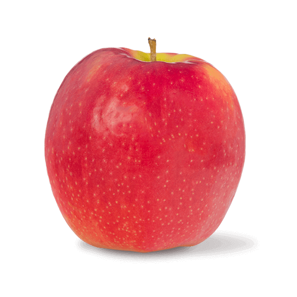 000125_pink_lady_apple_788147520