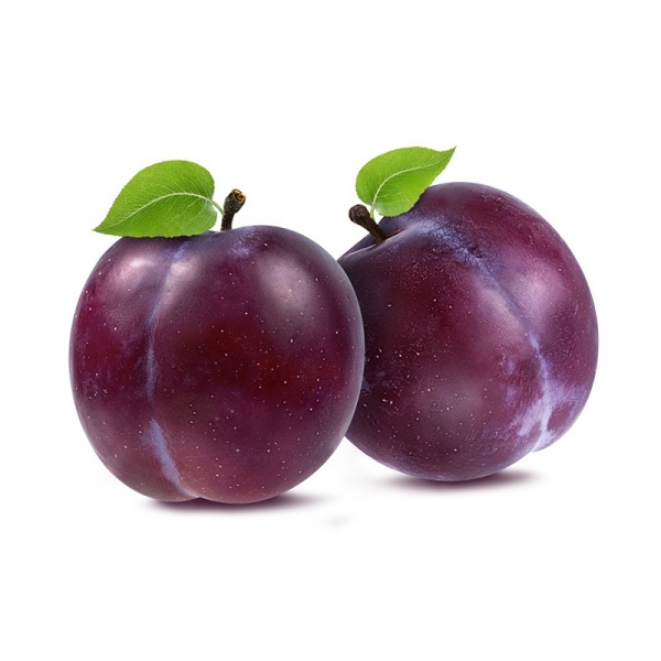 000126_plum_1992674381