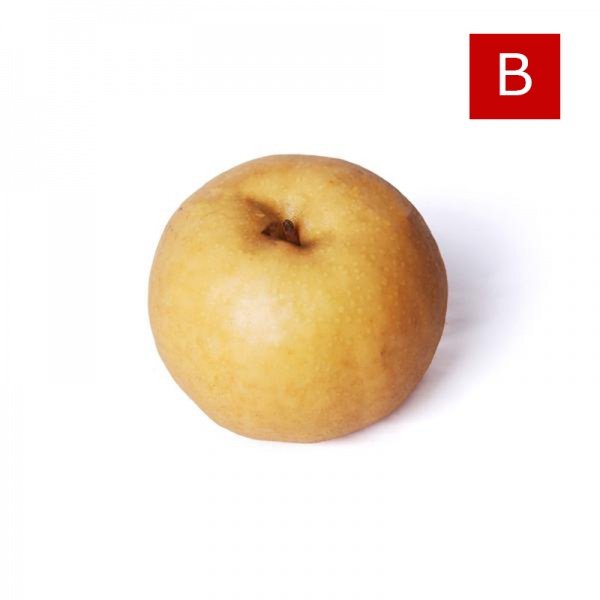 000137_golden_pear_b_1445183612