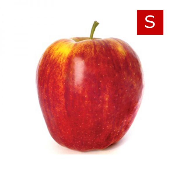 000138_applesroyalgala_s