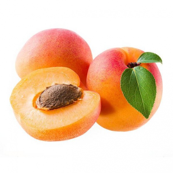 000154_apricot