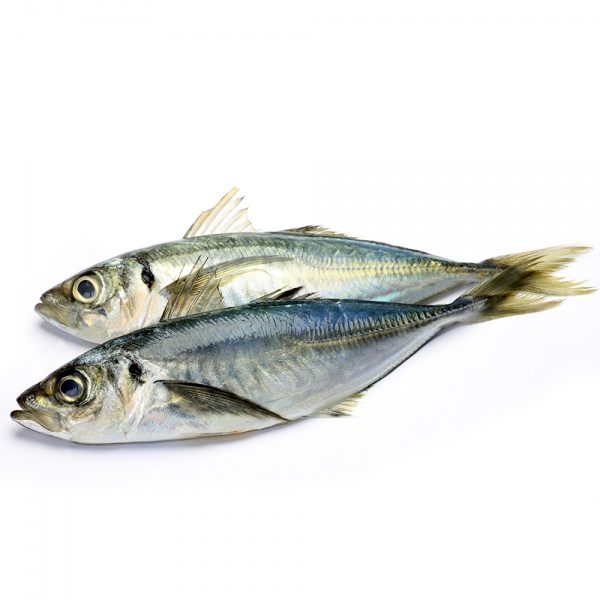 000358_ikan_kembong_2_ekor